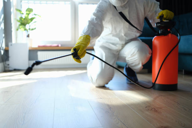 Reliable Odor Removal contractor in Center, TX by Trauma Clean Pros